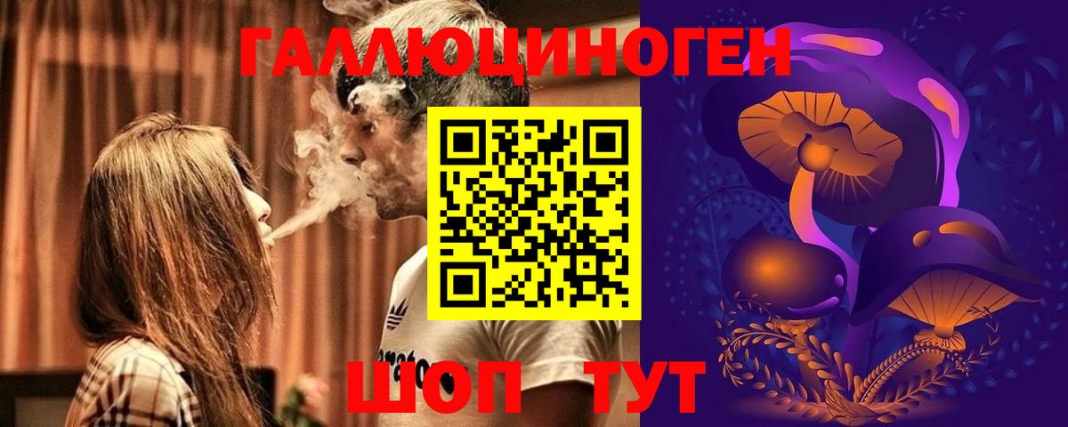 Кострома  Псилоцибиновые грибы мицелий  дарнет шоп  Вход с VPN  Псилоцибиновые грибы Cubensis 